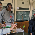 High school located in Dorchester ranks #5 best in Massachusetts